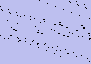 21203-68-9 2-Methyl-5-nitropyridine
